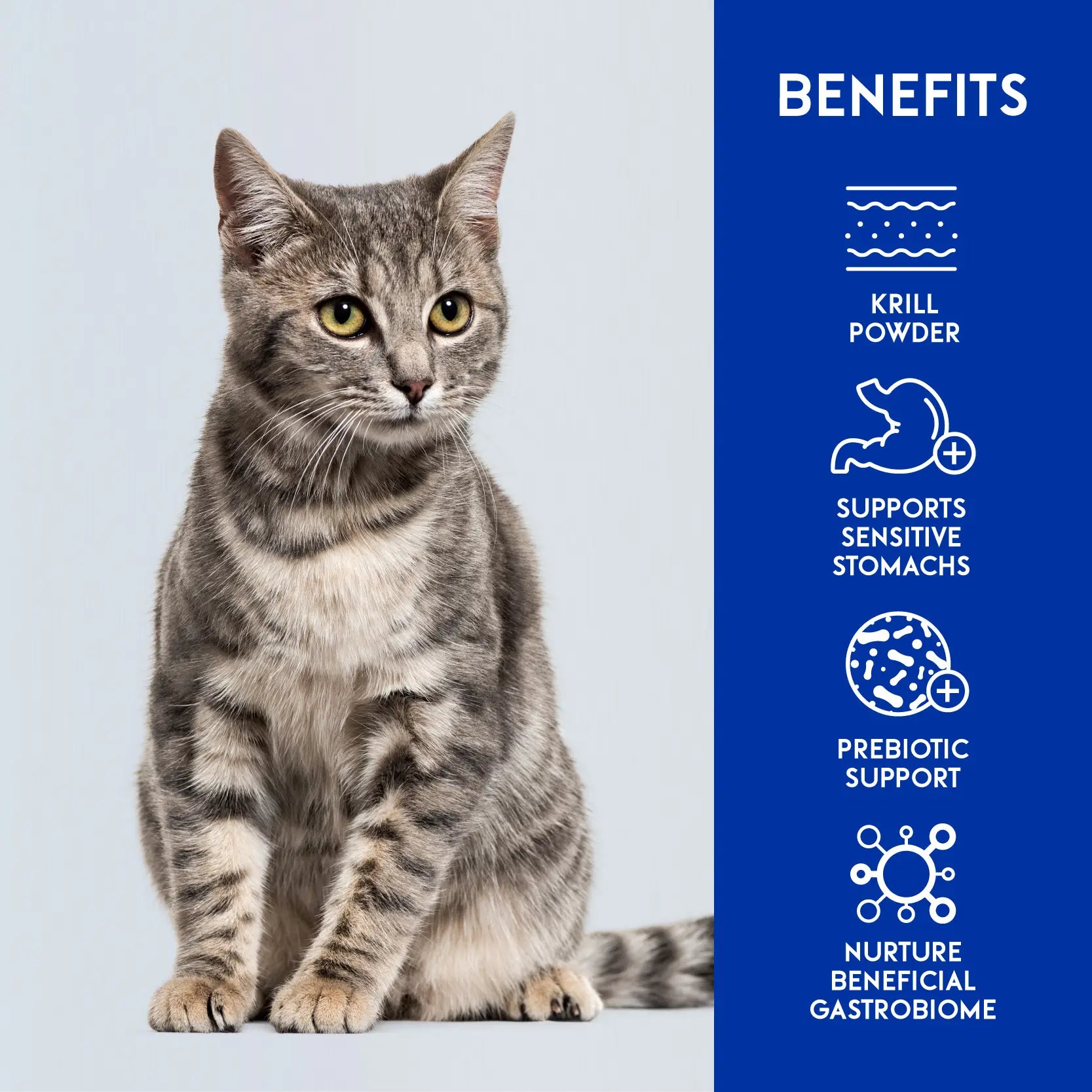 Animalkind Digestive+ Cat Food - Goat & Chicken Freeze-Dried Raw