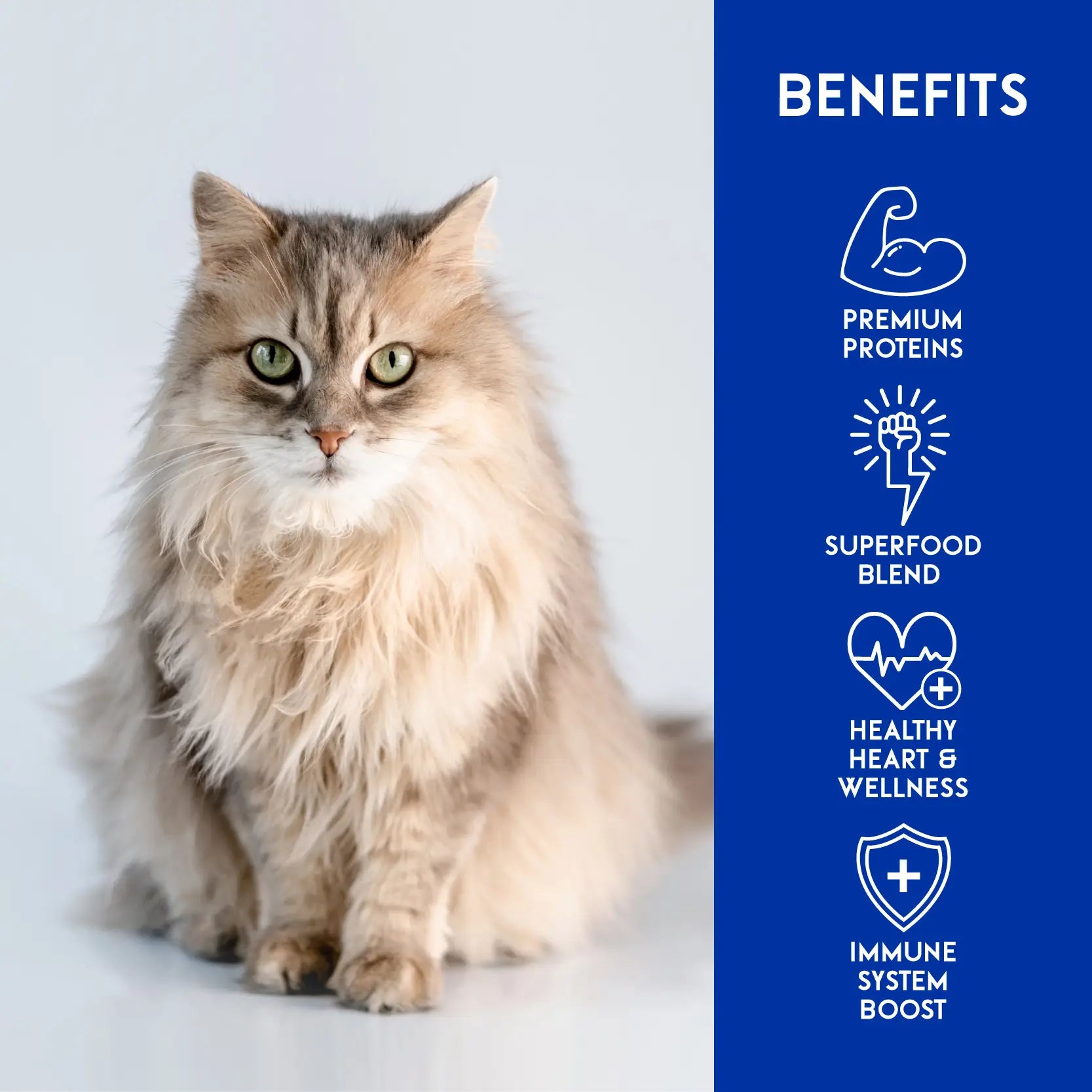 Animalkind Wellness+ Cat Food - Rabbit & Chicken Freeze-Dried Raw