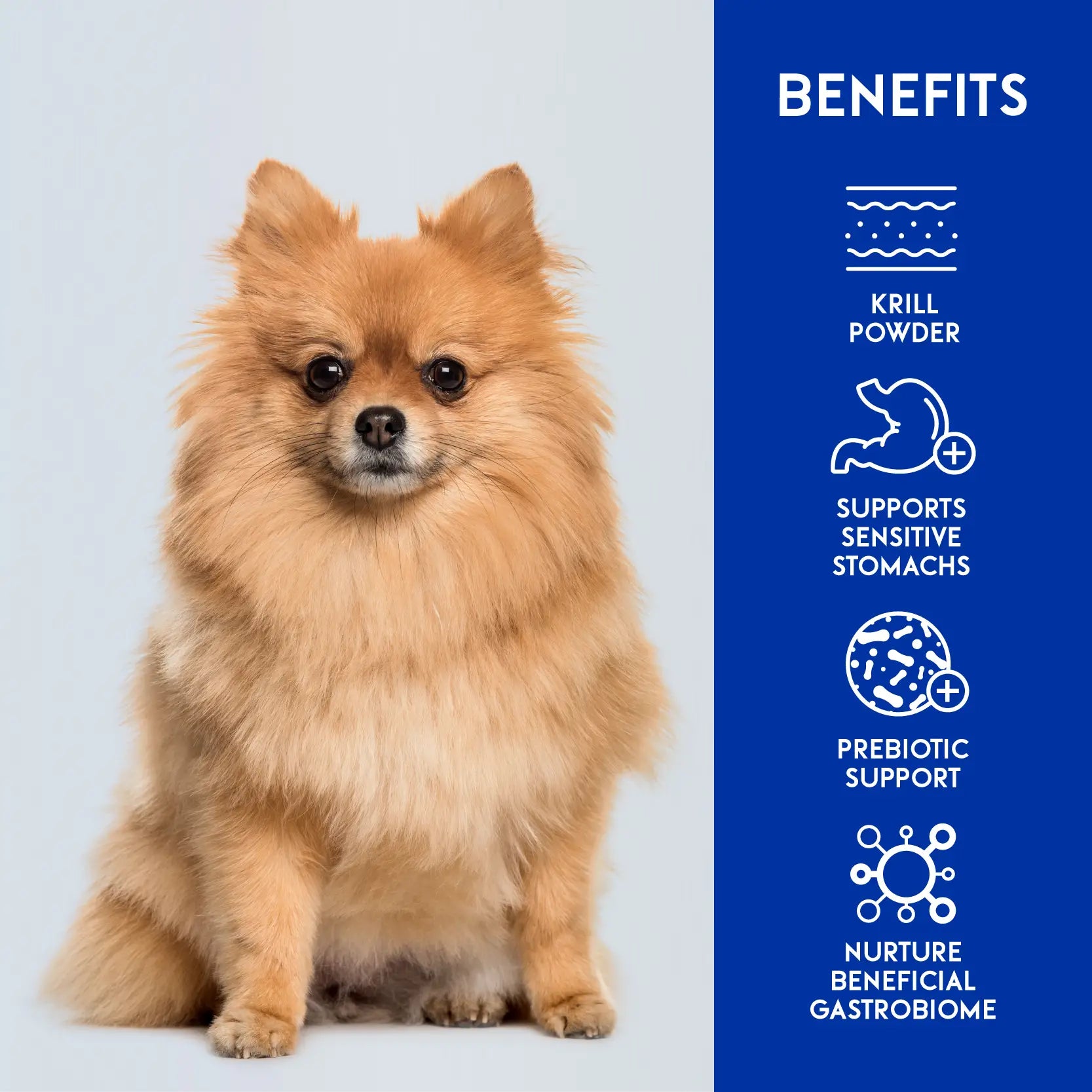 Animalkind Digestive+ Dog Food - Goat & Chicken Freeze-Dried Raw