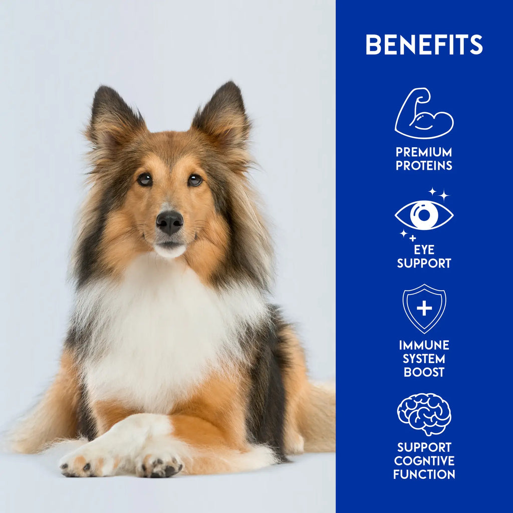 Animalkind Wellness+ Dog Food - Beef & Lamb Freeze-Dried Raw