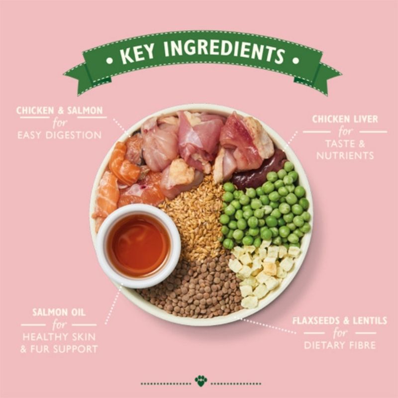 Lily's Kitchen - Dry Food For Dogs - Chicken & Salmon Dry Food for Puppies 2.5kg