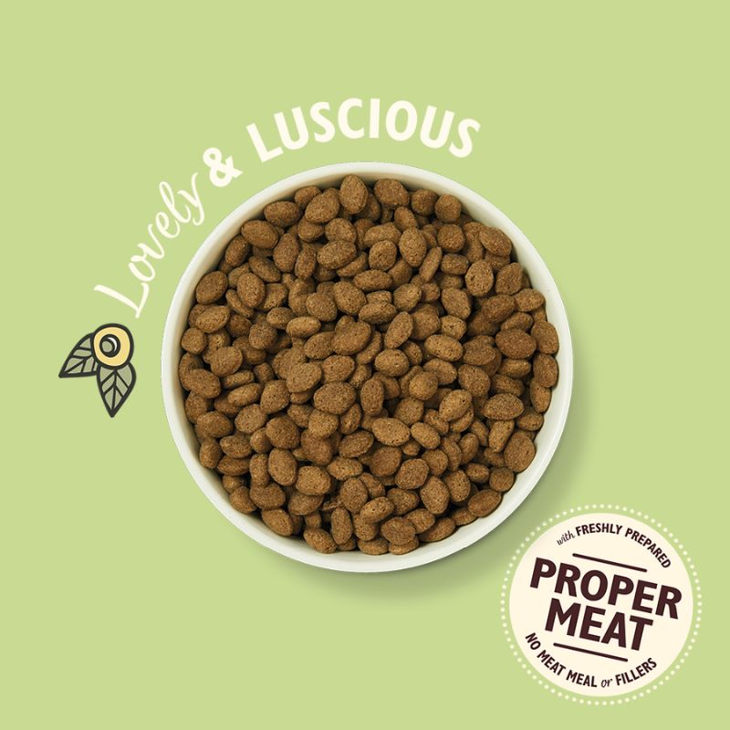 Lily's Kitchen - Dry Food For Dogs - Lamb Dry Food