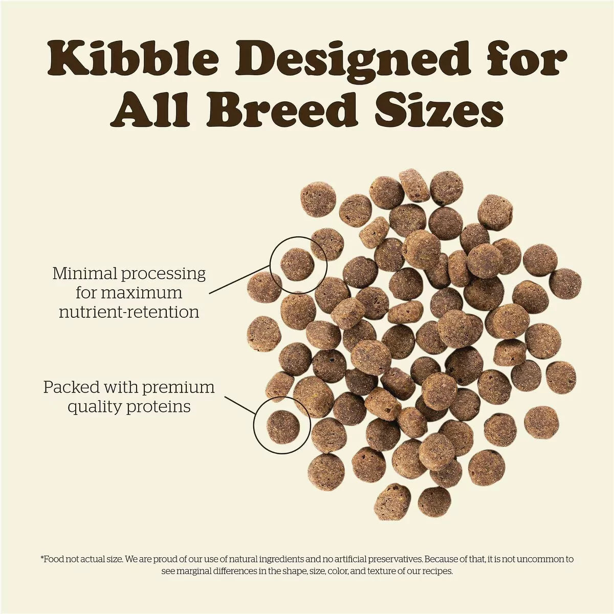 Now Fresh - Grain Free Senior Dog Food - Turkey, Salmon & Duck