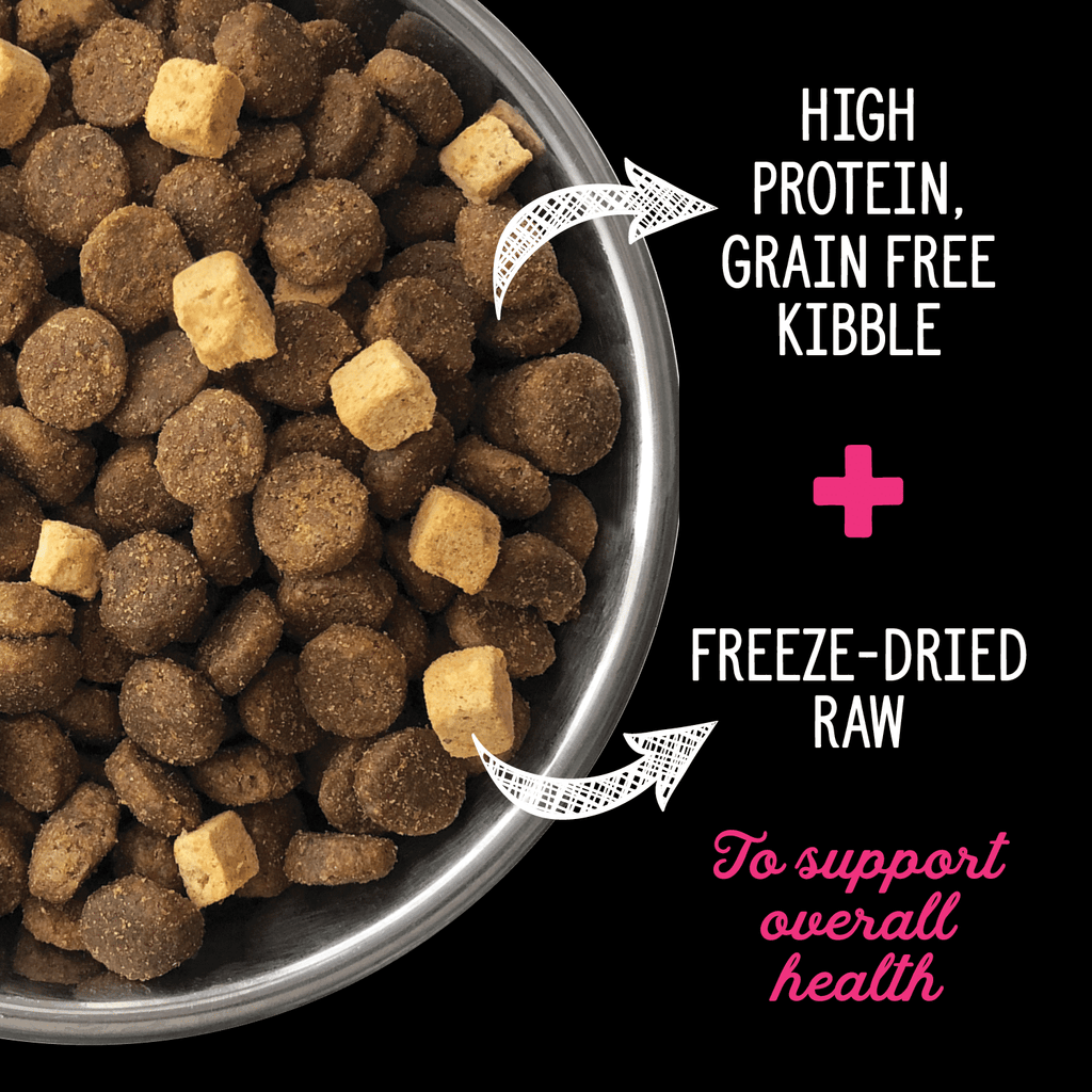 Nutrience - SubZero Limited Ingredients Dog Food - Lamb & Pumpkin Recipe