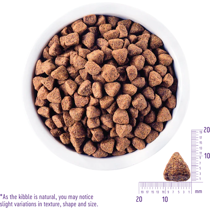 Wellness CORE - Grain Free Senior Dog Food - Turkey & Chicken