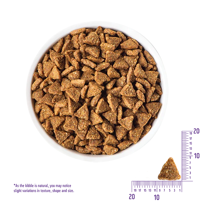 Wellness CORE - Grain Free Small Breed Puppy - Turkey & Chicken 4lb