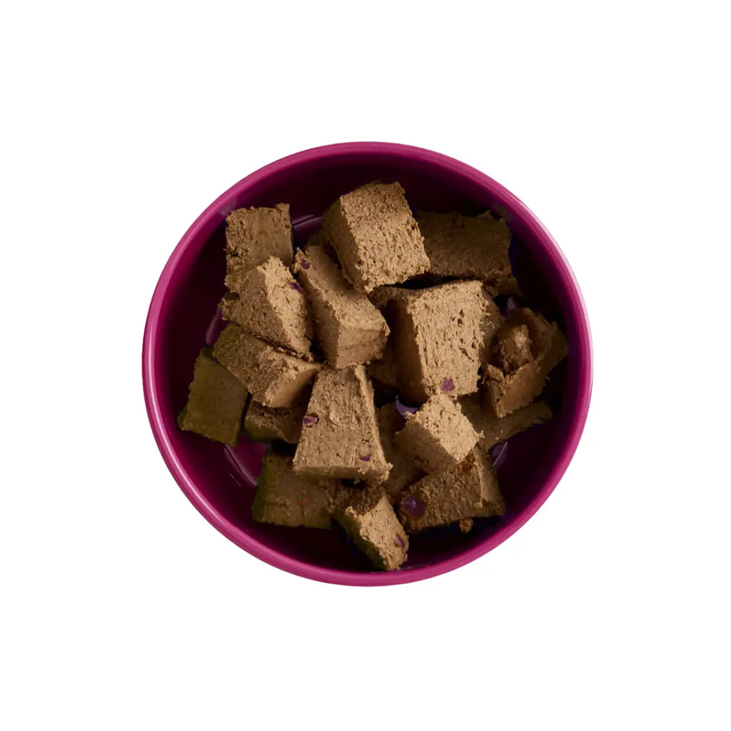 Yora - Complete Insect Based Dog Pate - Beetroot & Swede 390g